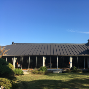 日本特辑①：我一个人吃饭旅行到处走走停停