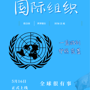 Vol.1 从零起步,如何敲开国际组织的大门?