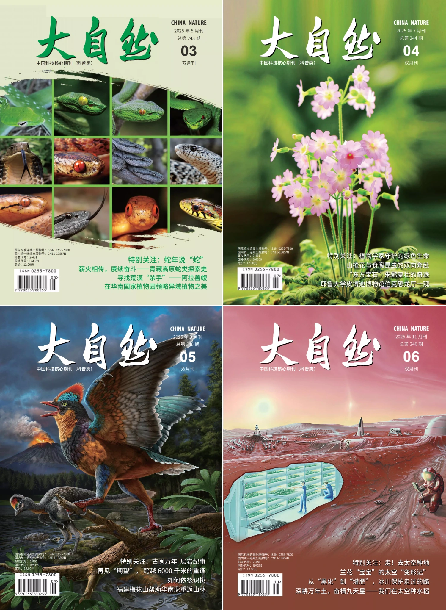 大自然 2025全年共6本 PDF