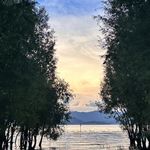 ETHAR_yi