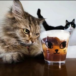 欧果酱