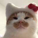 Liiq_BpKu