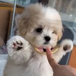 处事不惊