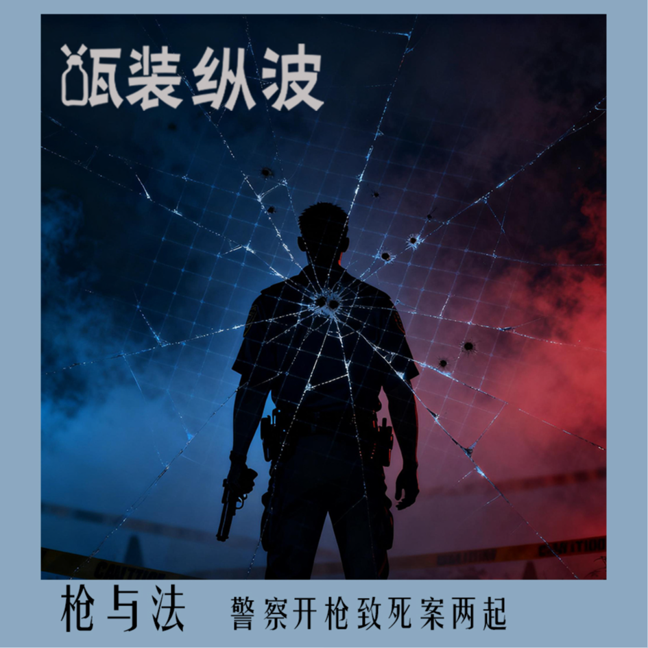 9.枪与法：警察开枪致死案两起 episode artwork