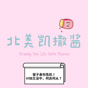 006 留子身份危机？H1B又没中，该何去何从？