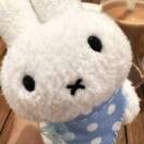 罐子_Frrs