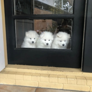 J. 医美机构有望成为直男集中营。