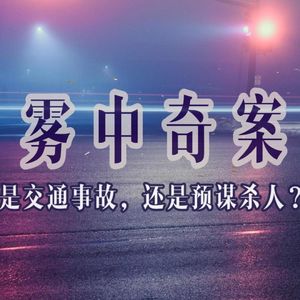 39.雾中奇案:是交通事故,还是预谋杀人?|老警察讲故事