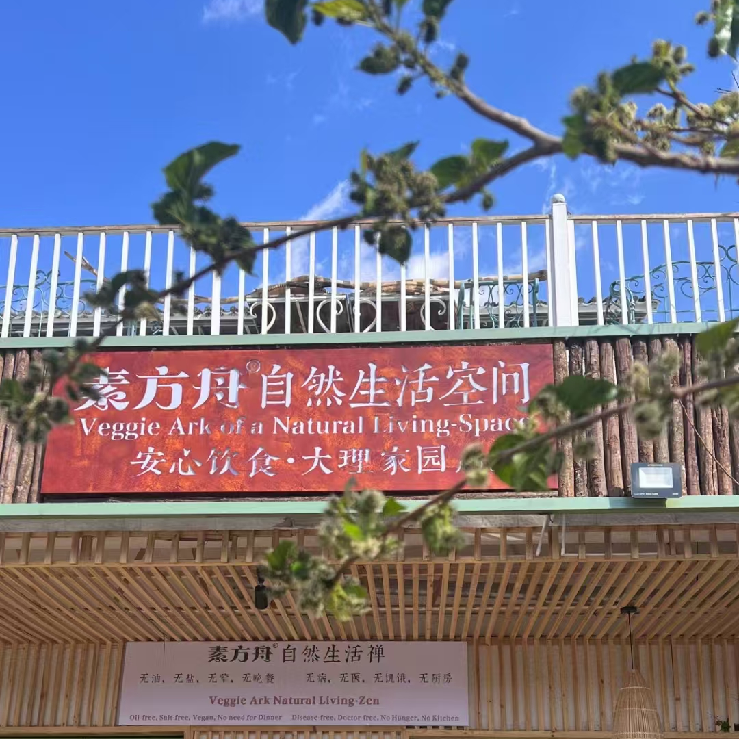 Vol.15 旅居探索创新教育，大理是现代人身心危机的“百忧解”吗？ episode artwork