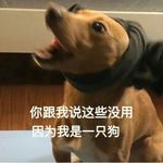 CaeCae咕咕嘎嘎