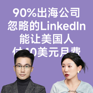 10-90% 出海公司忽略的 LinkedIn，让美国人付 40 美元月费 | 老友不闲聊