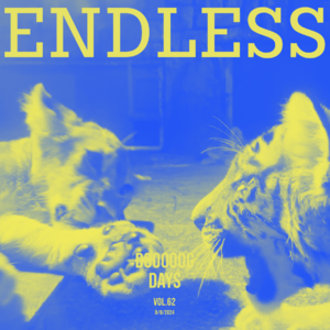 vol.62:告别和告白,总该是漫长的