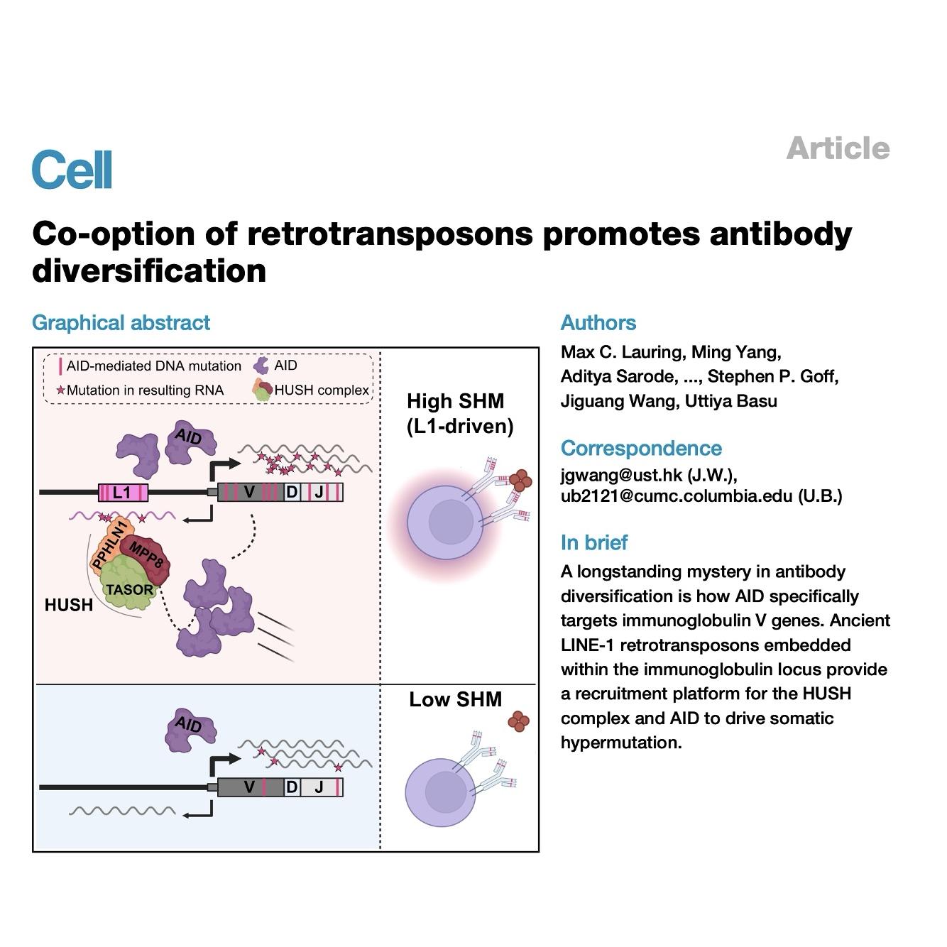 1512-Co-option Promotes Antibody Diversification episode artwork