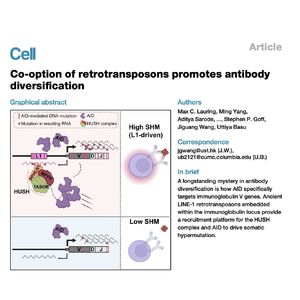 1512-Co-option Promotes Antibody Diversification