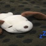 Doublebean