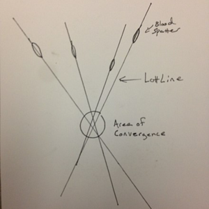 Some | 血迹形态分析，通过分析飞溅、滴落、喷射等血迹形态，推断撞击力量、血源位置及受害者与凶器的相对位置