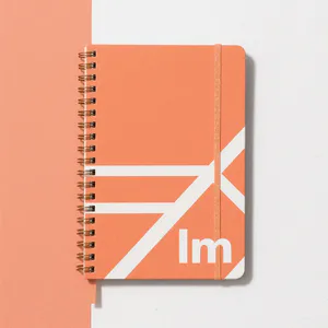 溪石的 NOTEBOOKLM