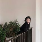 廿捌