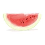 西瓜味的西瓜瓜