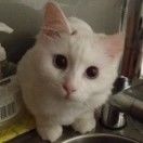 三盐会-老赵