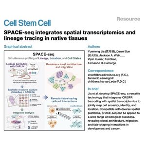 1380-SPACE-seq: Spatial CRISPR Lineage Tracing