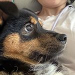 Kate_559428