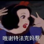 谢特法克