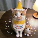 Vol.021「生日前我与自己聊会天」