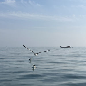 聊聊最近的故事