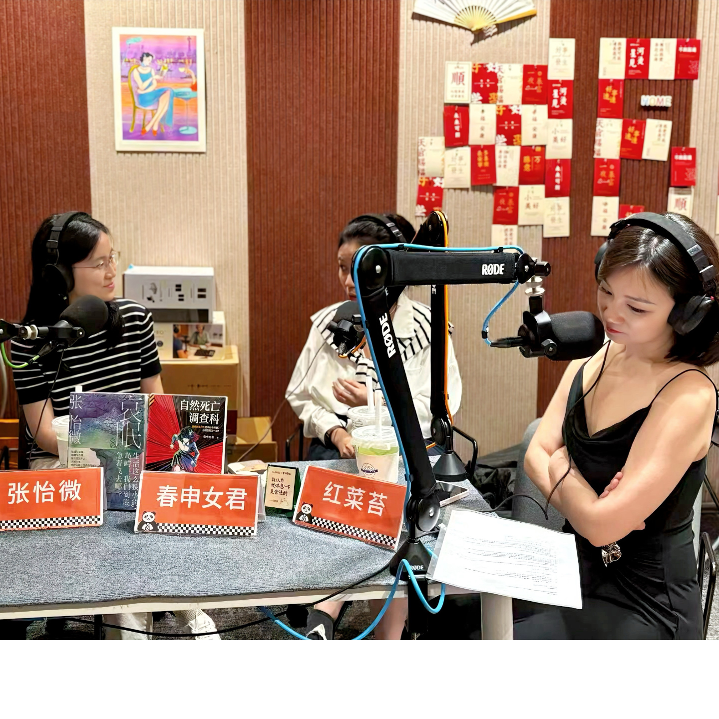 春申女君&张怡微｜《自然死亡调查科》：疼痛可以被比较吗？ episode artwork