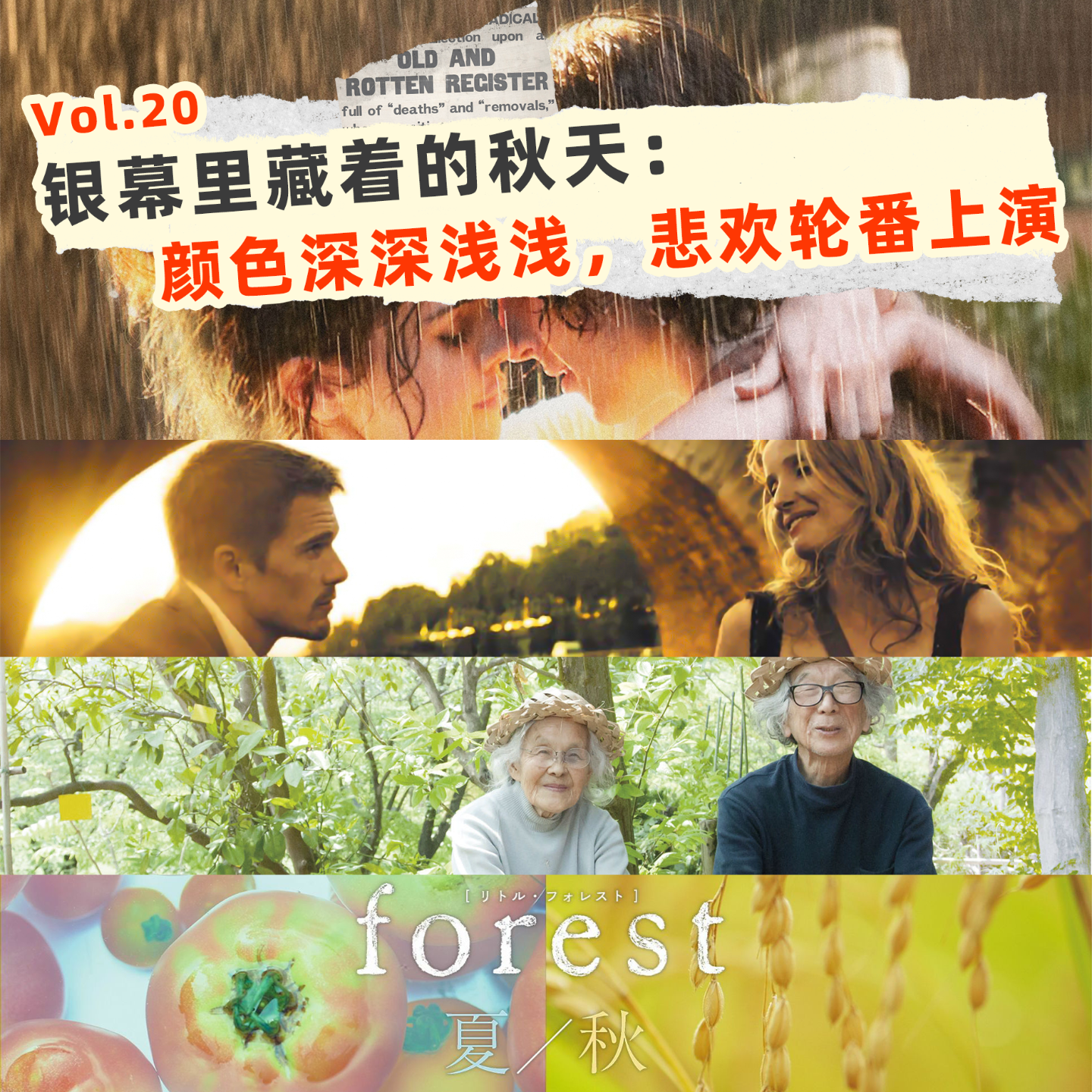 20🍂最浪漫的秋天，在这4部电影里🎥爱在 人生果实 小森林 纽约的一个雨天 episode artwork