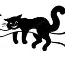 加菲猫妈