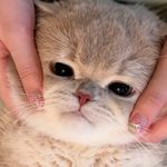 路上不停心灵驻足