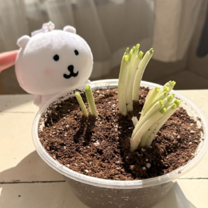 一天专注做好一件事就够啦 📅 Jan.15