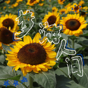梦游人间