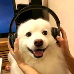 你最好把我看扁