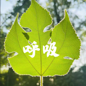 Vol56 呼吸 VS 瑜伽呼吸 VS 呼吸疗愈，都是什么概念？
