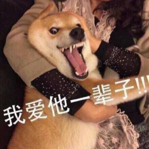 这婚有什么好结的