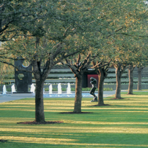 162 美国景观设计师 彼得.沃克