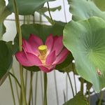 安静与热闹