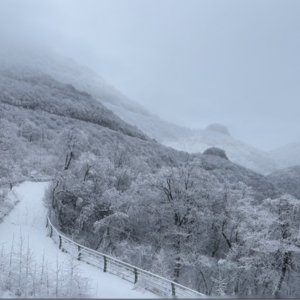 ep06. 文本细读03|林教头风雪山神庙 看似寻常最奇崛