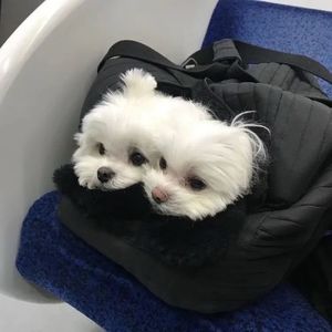 禁止枯萎