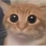 小妹妹你很牛吗