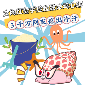 外国女网红在冲绳海滩徒手捡“鸡心螺”，3千万网友惊出冷汗！和蓝环章鱼一样都有剧毒