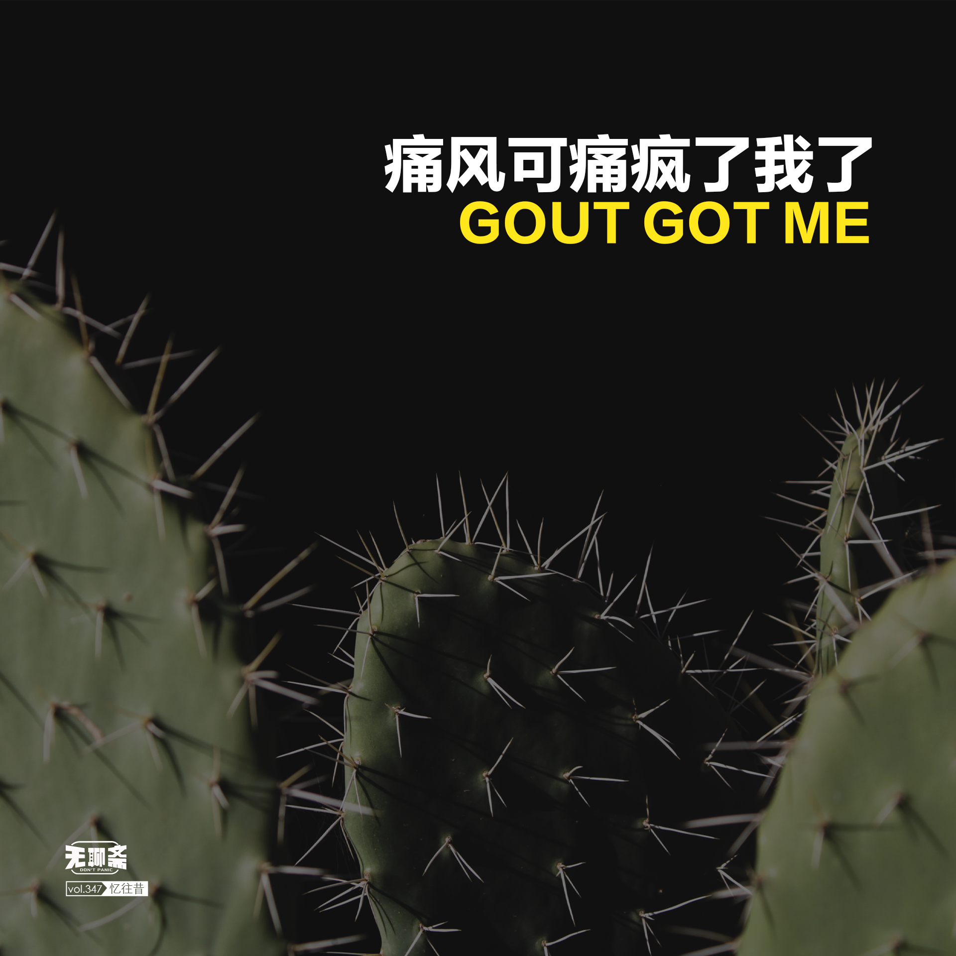 vol.347 痛风可痛疯我了
