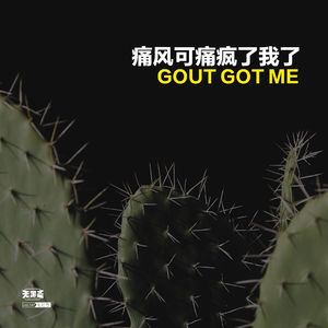 vol.347 痛风可痛疯我了