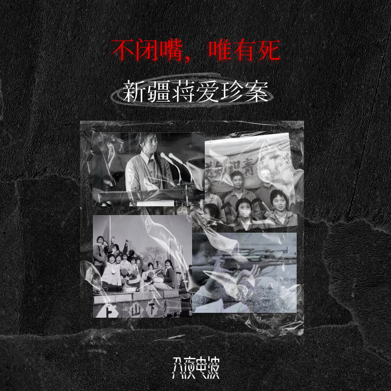 037.不闭嘴，唯有死，新疆蒋爱珍案 episode artwork