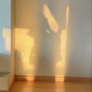 阿树的一千零一夜