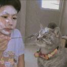 小寒昆