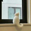 璐潞哪哪都好看